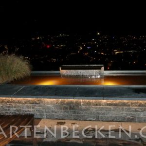 Gartenbecken Bei Nacht 026